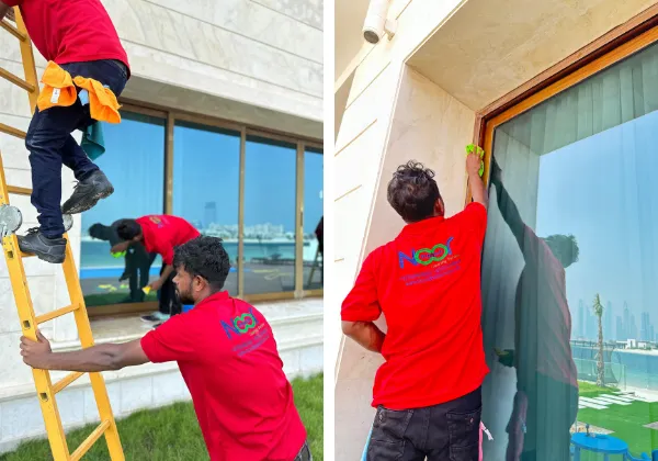 window washhing